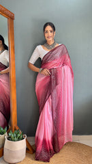 Chiffon Zari Work Patta Saree With Heavy Chikankari Embroiderd Blouse – Ready to Wear"